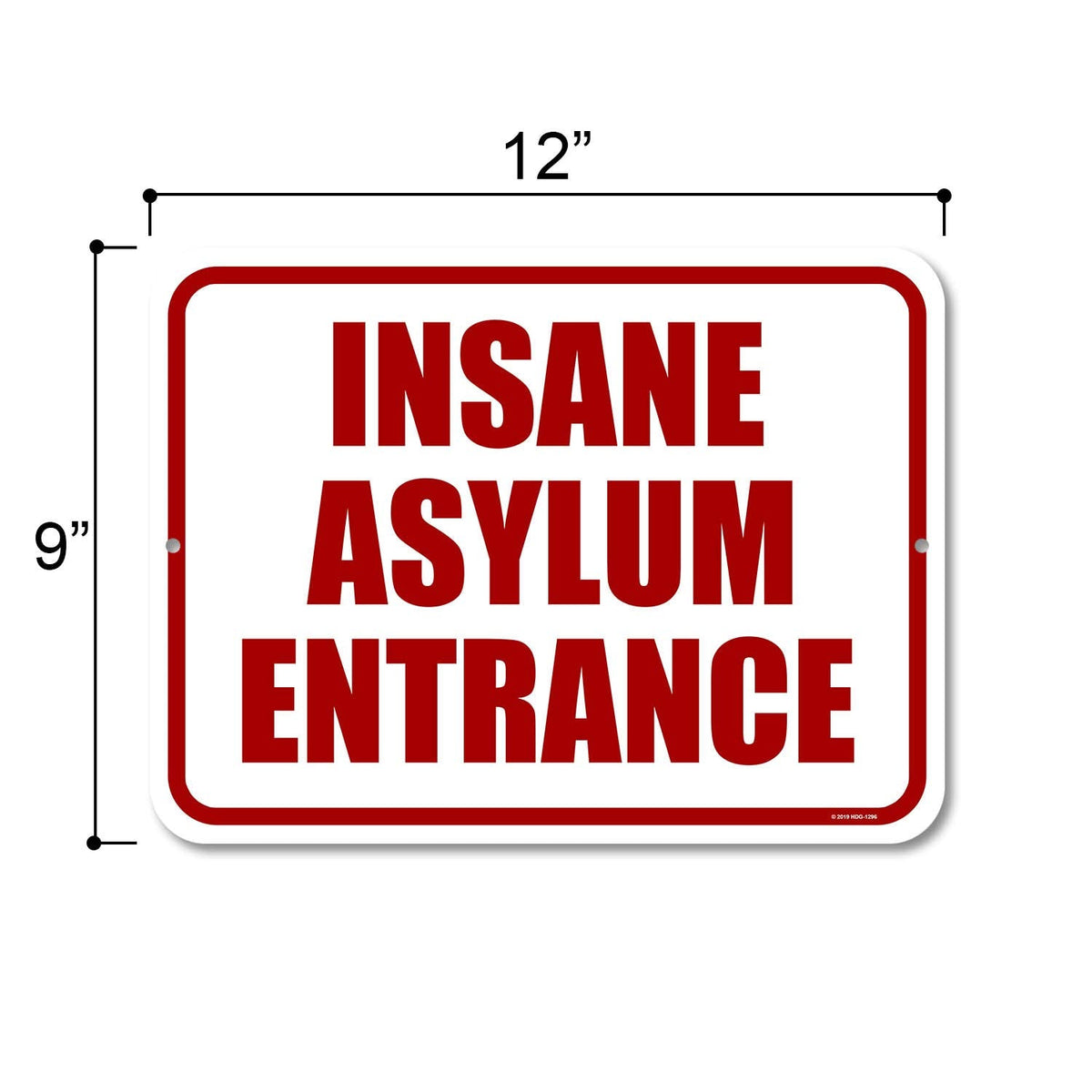 Honey Dew Gifts Halloween Decor, Insane Asylum Entrance 9 inch by 12 Inch Funny Home Decor, Halloween Decorations Outdoor, Gag Gifts for Adults, HDG-1296