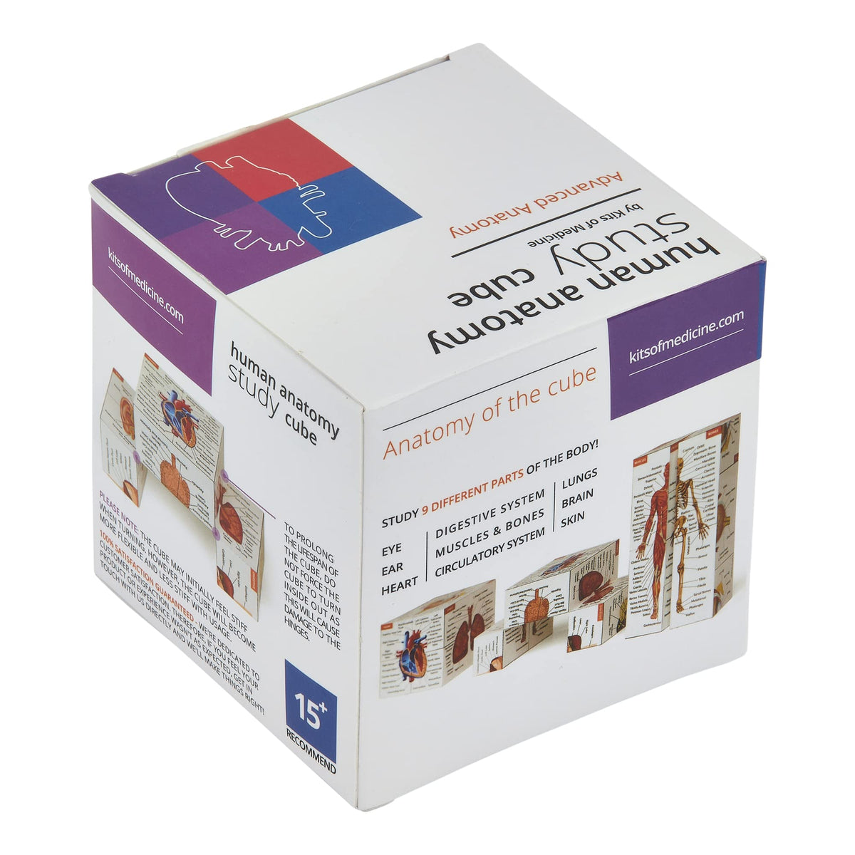 Human Anatomy Study Cube | Study 9 Parts of The Human Body | Perfect Anatomy Revision Guide | Addictive Anatomy Model Cube | Great Gift for Nurse, Dentist, Medical Students