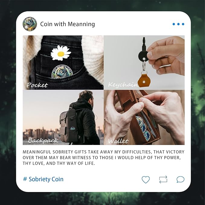 One Day at a Time 16 Year Sobriety Coin - Recovery Aurora Forest Wolf AA Coins - Addiction NA AA Chips and Medallions - Celebrate 1-30 Living Clean Narcotics Alcoholics Anonymous Gifts for Men Women