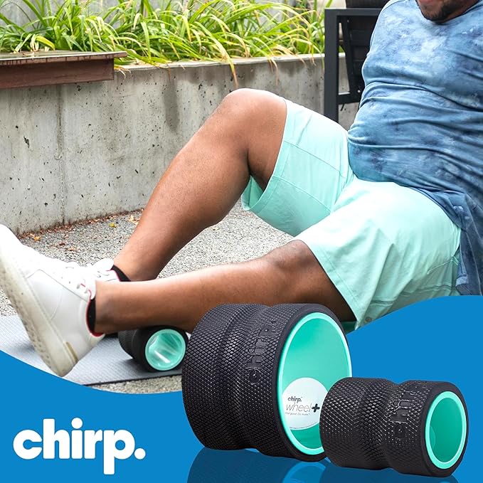 Chirp Wheel Foam Roller ??Targeted Back & Neck Relief, Lumbar Spine Stretcher, Spinal Decompression Back Stretcher, Massage Roller with Density Foam for Physical Therapy, Supports 500lbs, 2-Pack Mint
