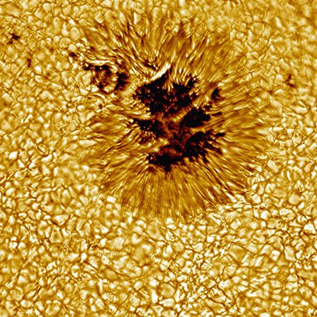 A close-up of a sunspot Poster Print by Stocktrek Images (16 x 16)