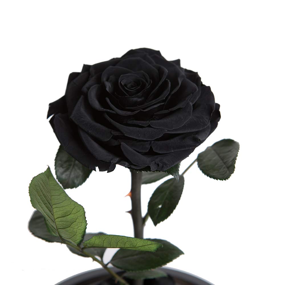 Preserved Roses Black Roses Handmade Real Rose in Glass Dome, Preserved Roses Never Withered Romantic Gifts for Her, Mother's Day, Birthday Gifts for Women (9 inch, Black)