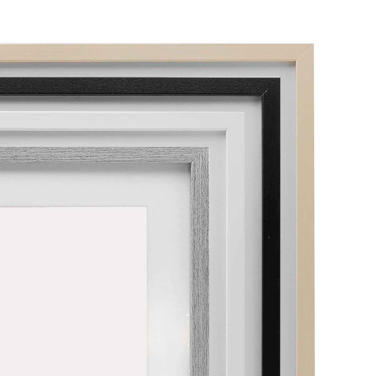 Stupell Industries Simple Pressed Flowers Gray Framed Print Under Glass, design by Lettered and Lined, 16 x 13