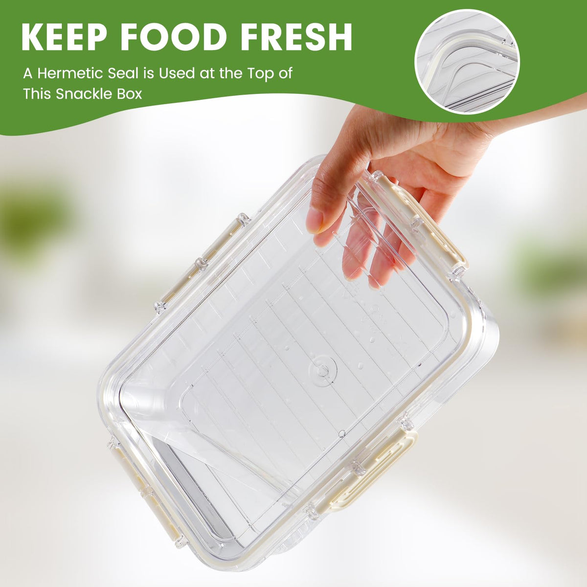Tobiwibby Divided Serving Tray with Lid and Handle, Snackle Box Container mit 4 Compartments Clear Serving Platters and Trays,Snack Platters for Veggie Fruits Snacks Nuts, for Picnic Party Travel