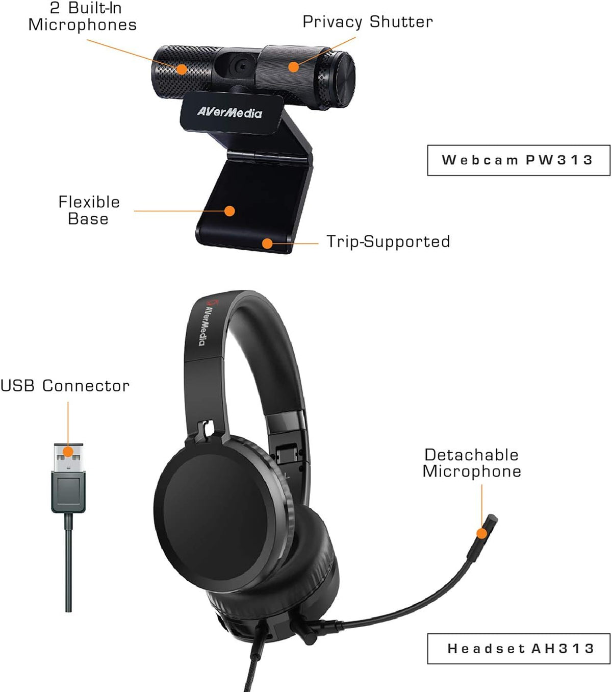 AVerMedia 317 Video Conference Kit