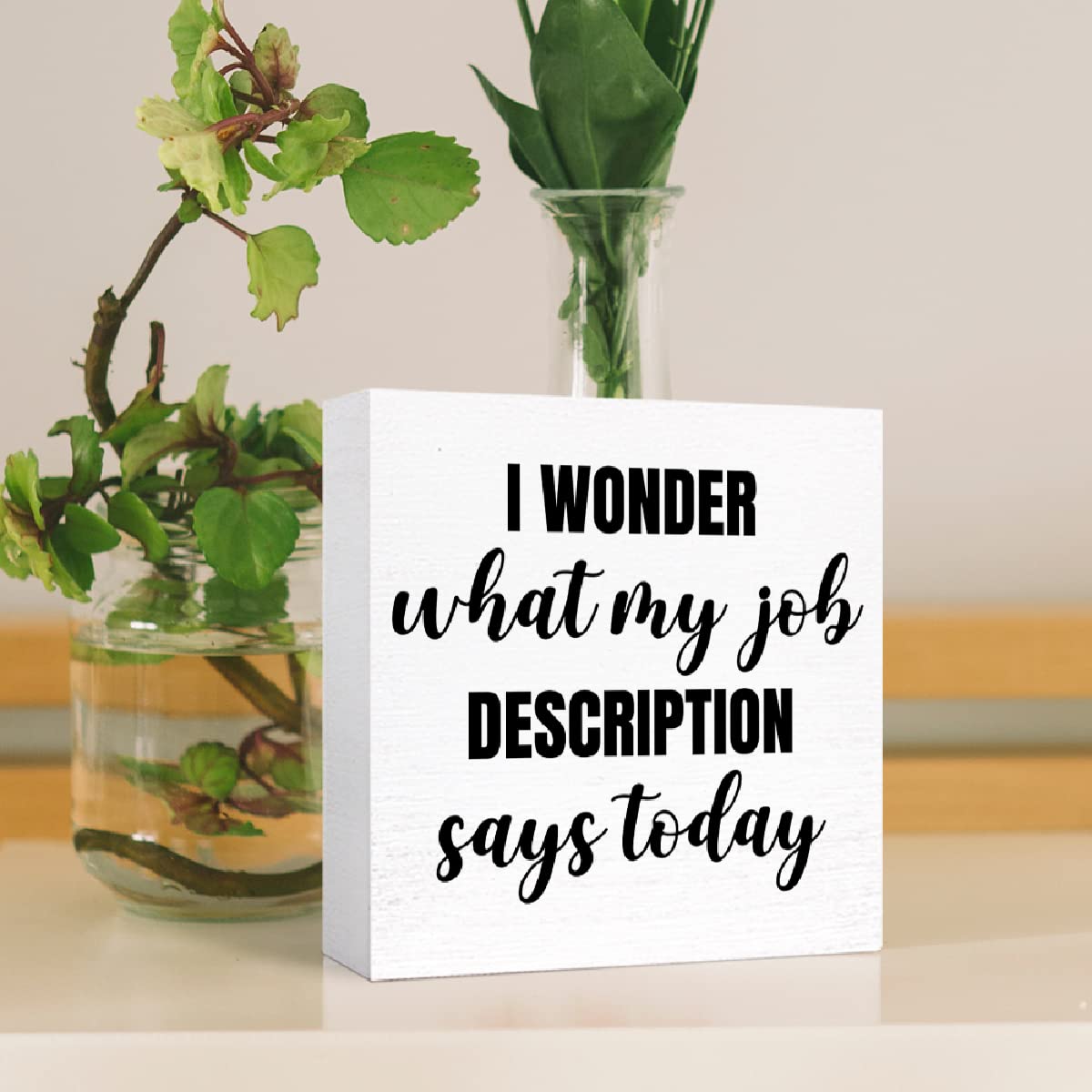 Funny Office Wood Box Sign I Wonder What My Job Description Says Today Wooden Block Sign Humorous Desk Décor for Home Office Table Décor,Office Gift for Friend Coworker Employee
