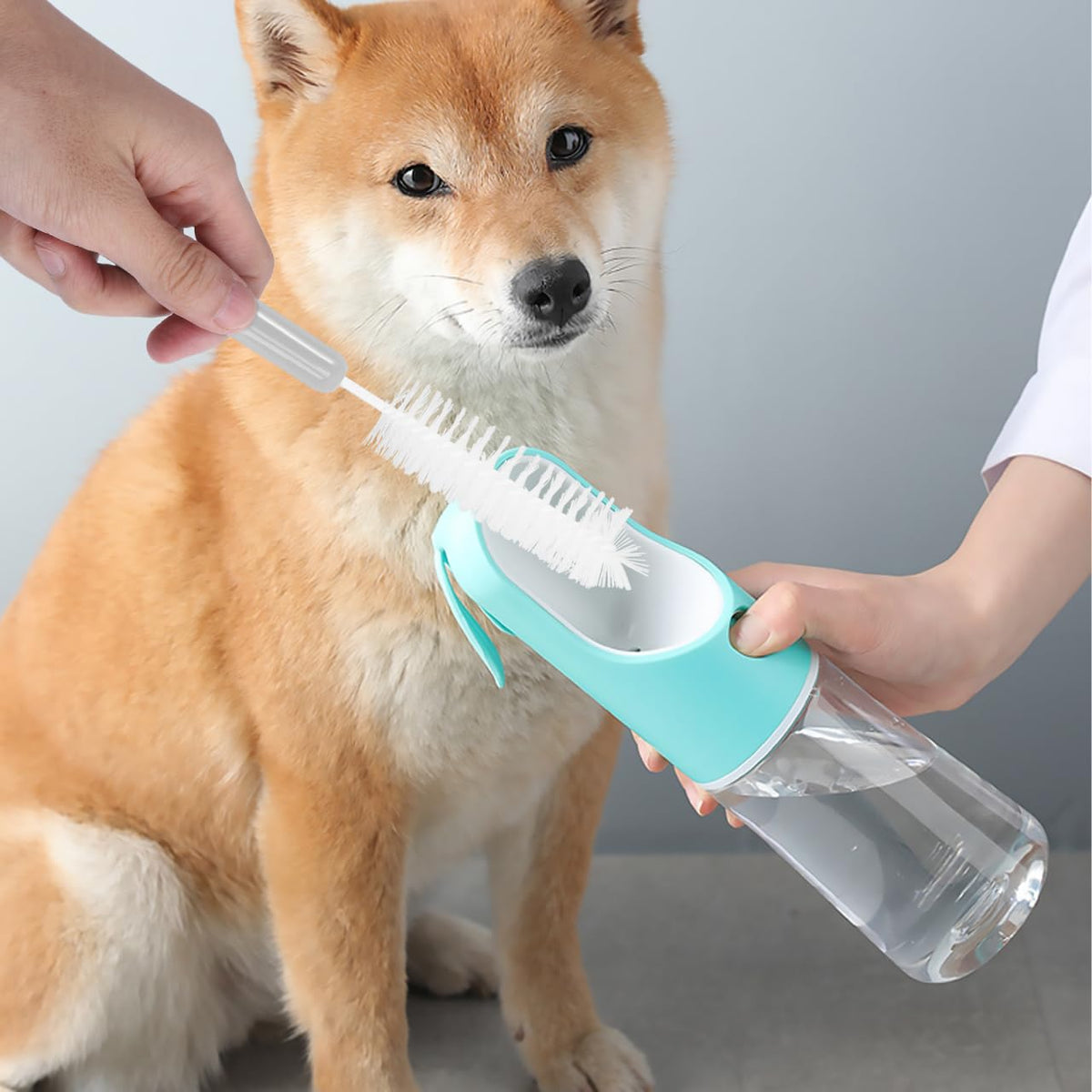 ERINGOGO 1Set Pet Feeder Water Fountain Cleaning Set Tools with Long Handle Brushes for Efficient Daily Care for Dog Cat Owners Gray