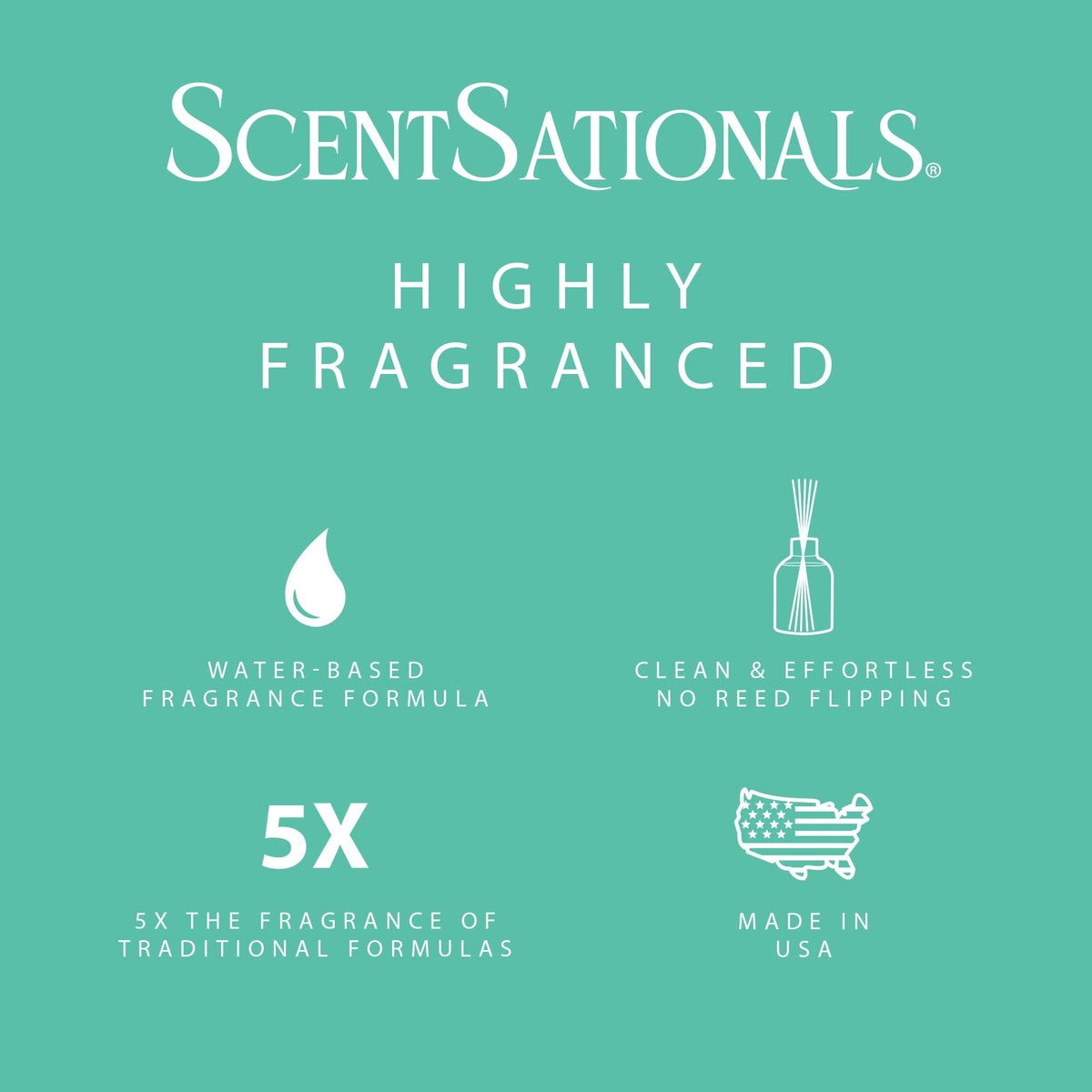 ScentSationals Water-Based Reed Diffuser - White Pine & Eucalyptus - 5 FL OZ Aromatherapy Reed Diffuser