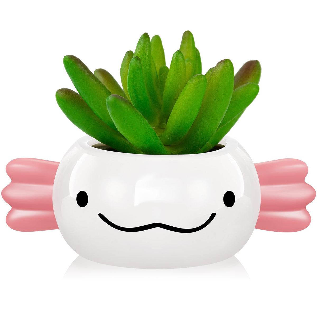 RimCereal Axolotl Planter Axolotl Gifts for Men Women Cute Succulent Pots Plant Pots Pen Holder for Christmas Desk Office Home Decoration 6.02 x 2.36 Inches