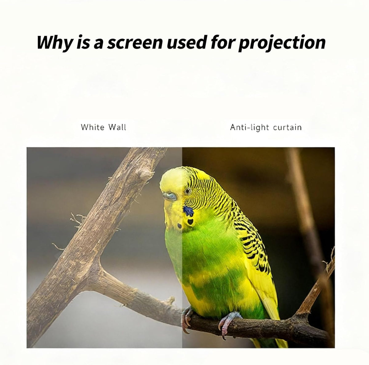 SHYYOULQE Metal Anti-Light Projector Screen Portable Foldable Frame Indoor Outdoor Viewing No Tools Needed Wide Viewing