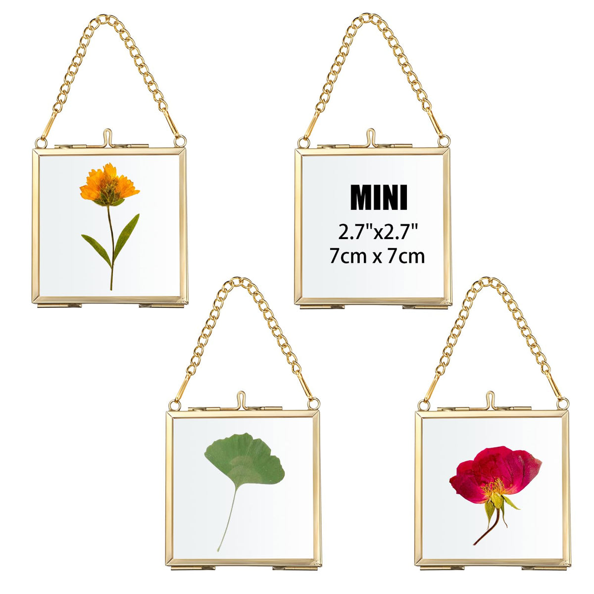 JUXYES 4 Pack Wall Hanging Mini Brass Frames for Pressed Flowers Art, Square Glass Hanging Dried Flowerss Artwork Display Frame, Double Glass Floating Style Gallery Wall Frame for Picture, Pressed Flower, etc
