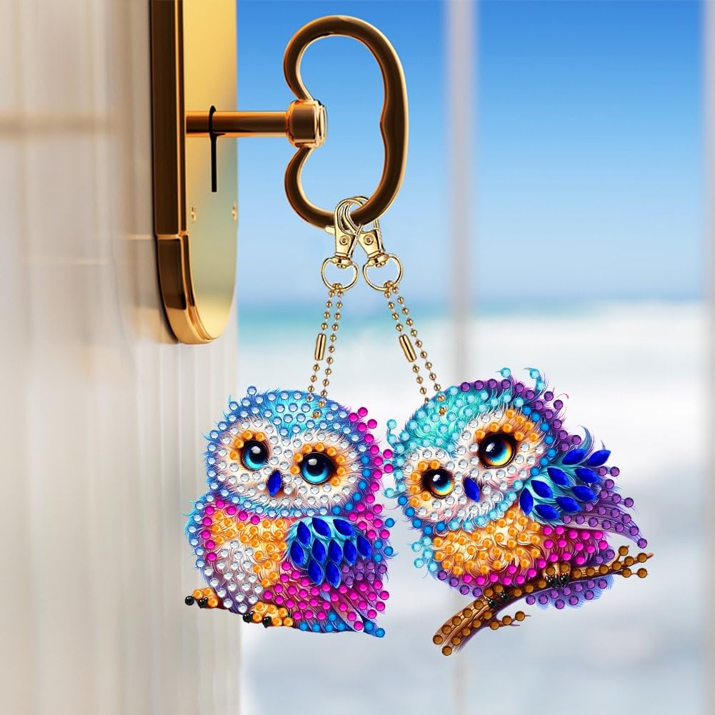 YUE ZHE 6 PCS Owl Diamond Painting Keychains Owl Diamond Art Kits for Adults Double Sided DIY 5D Painting for Adults Beginners DIY Crafts Decor