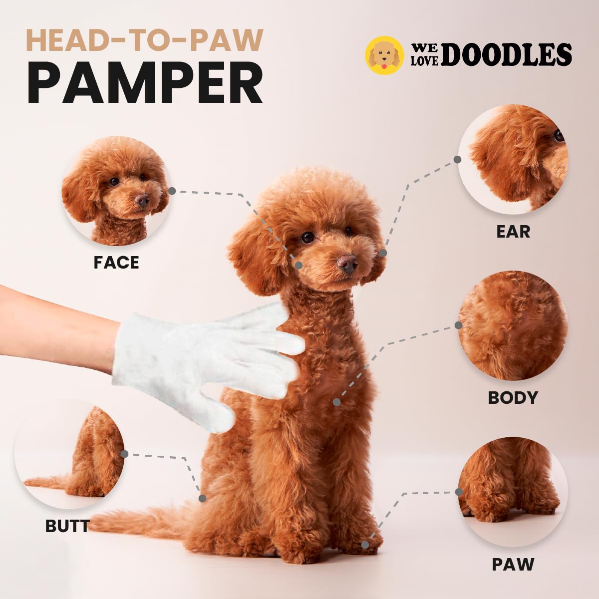 We Love Doodles Dog Gloves Wipes & Dog Slicker Brush Bundle - Pet Bathing Wipes for Dogs, Paws, Face, Body, Ears - Pet Grooming Detangler Pin Dog Brush, Goldendoodle Long Pin Brush for Dematting