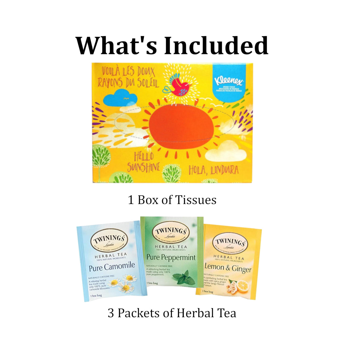 Get Well Care Package for Adults – 10-Piece Cold & Flu Gift Basket with Soup, Tea, Tissues & Sanitizer Wipes (Get Well Cheer: For Colds, Flu, Allergies)