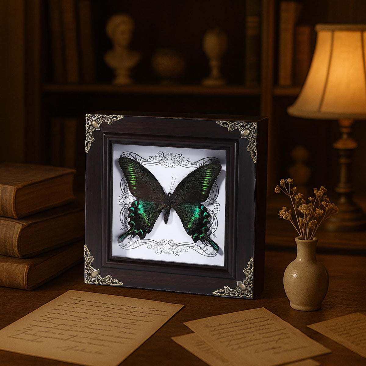 Real Butterfly Framed Home Decor,Taxidermy Shadow Box for Goth Dark Academia Wall Art Decor,Gothic Furniture Gifts for Victorian Whimsigoth Fantasy Moody Witchy Room Bedroom Decor