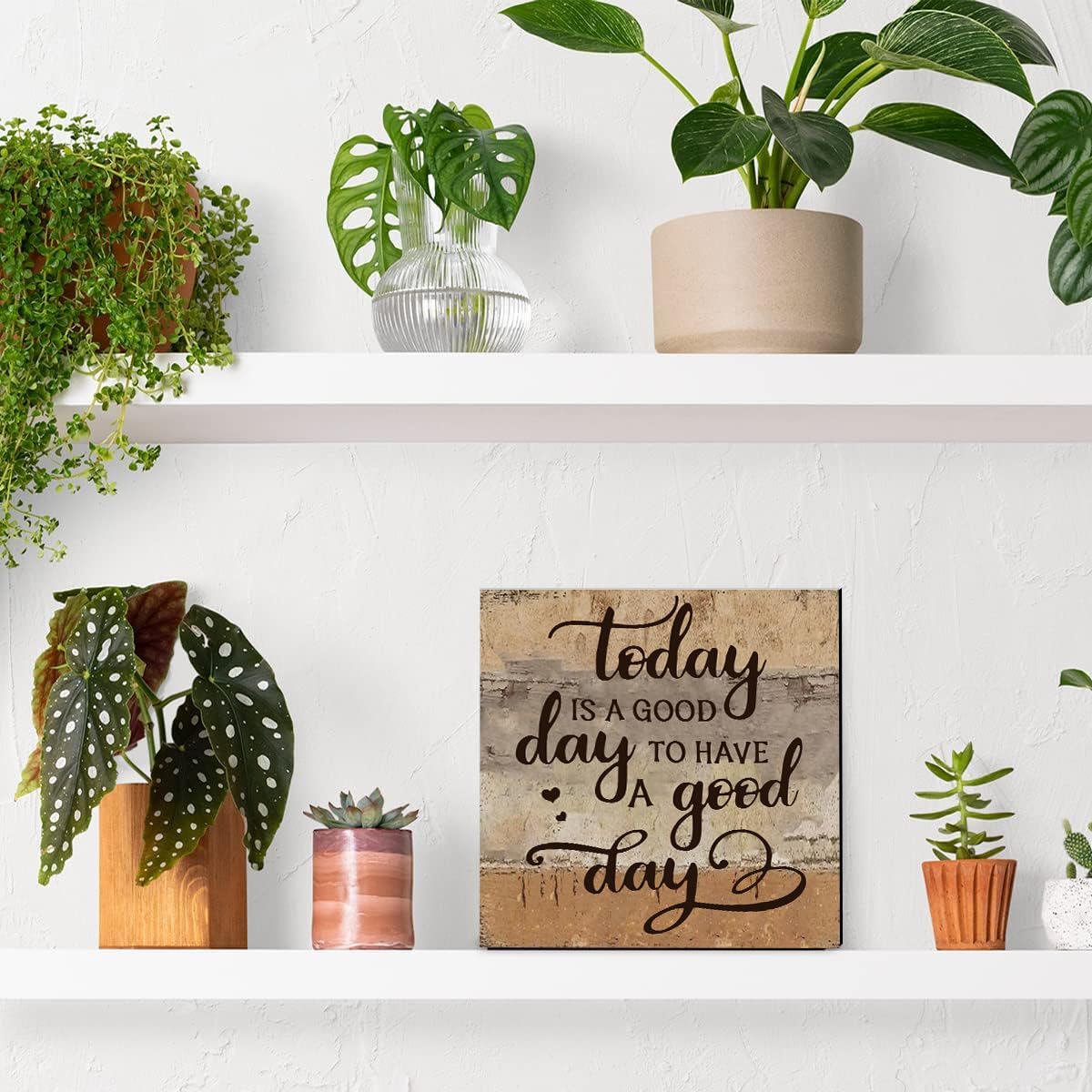 Positive Desk Decor Inspirational Gifts, Today is a Good Day to Have a Good Day Wood Sign 5 x 5 Inch, Motivational Office Farmhouse Affirmation Gift