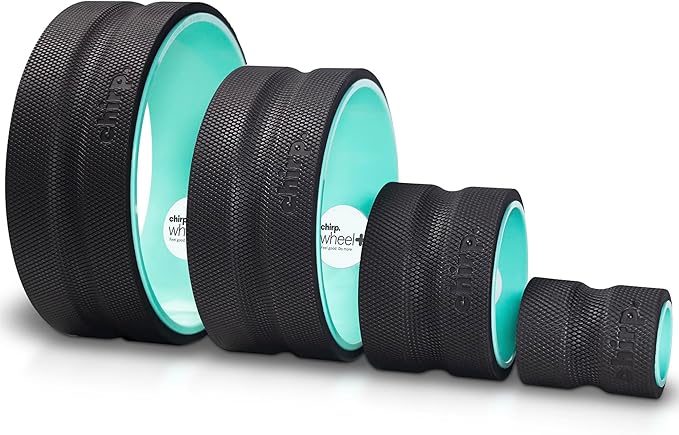 Chirp Wheel Foam Roller ??Targeted Back & Neck Relief, Lumbar Spine Stretcher, Spinal Decompression Back Stretcher, Massage Roller with Density Foam for Physical Therapy, Supports 500lbs, 4-Pack Mint