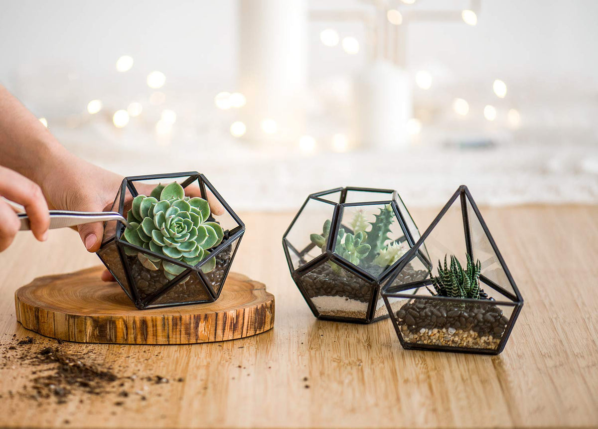 Mkono 4 Inches Mini Glass Geometric Terrarium Container Set of 3 Modern Tabletop Planter Shelves Decor Display Centerpiece for Succulent Miniature Fairy Garden Air Plant, Black(Plant Not Included)