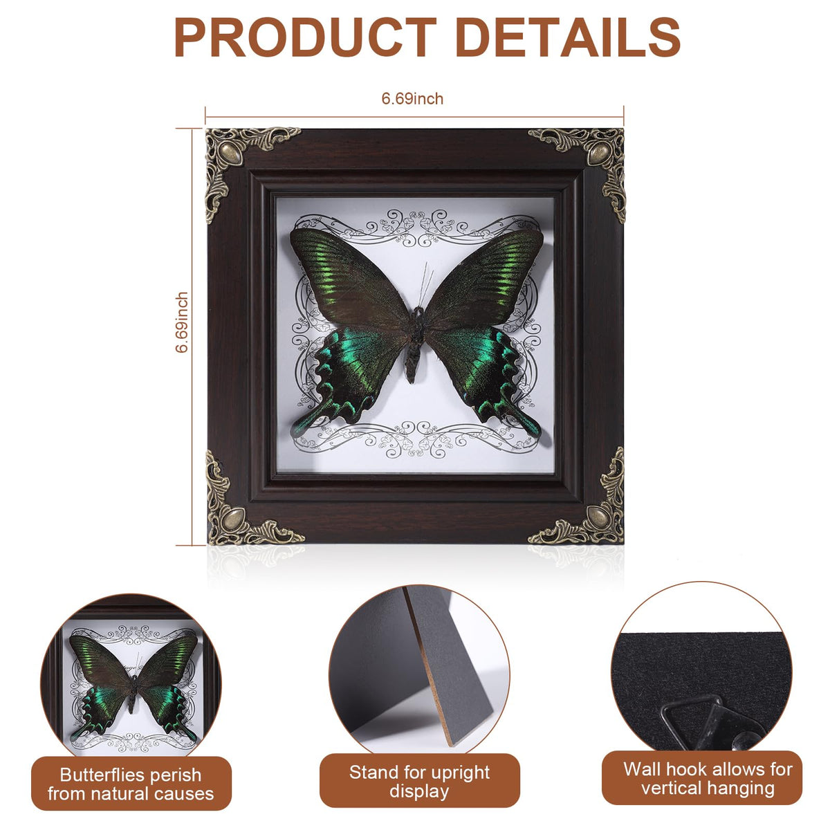 Real Butterfly Framed Home Decor,Taxidermy Shadow Box for Goth Dark Academia Wall Art Decor,Gothic Furniture Gifts for Victorian Whimsigoth Fantasy Moody Witchy Room Bedroom Decor