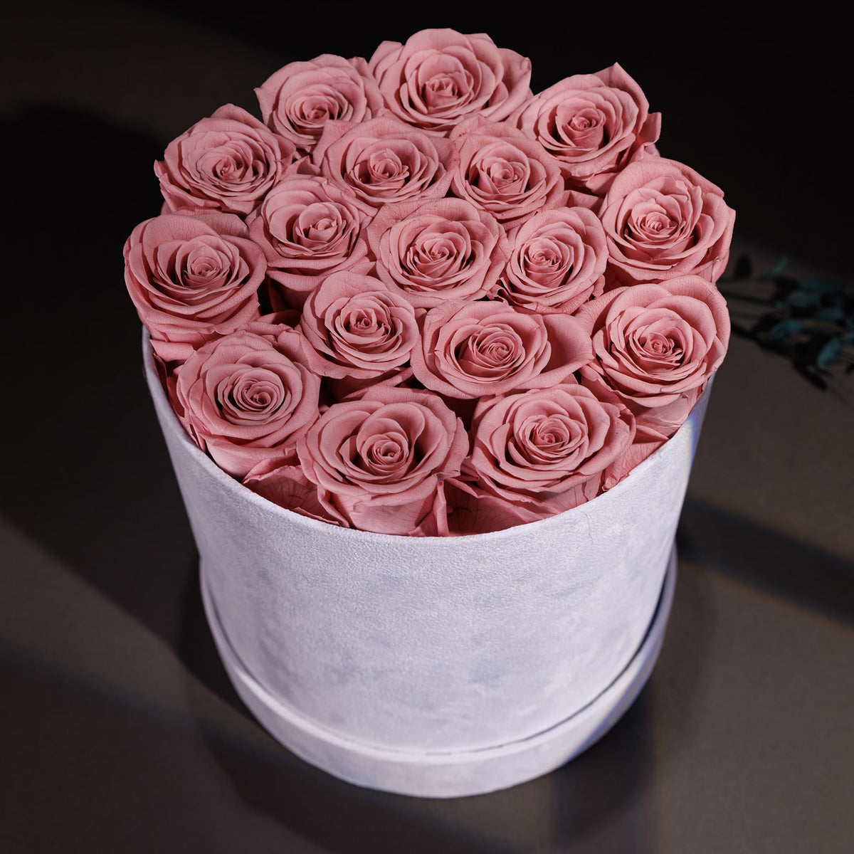 Prifroti 17 Flowers in a Luxury Suede Box, Birthday Gifts for Women, Preserved Flowers, Mothers Day Roses Gift for Mom, Dusty Rose
