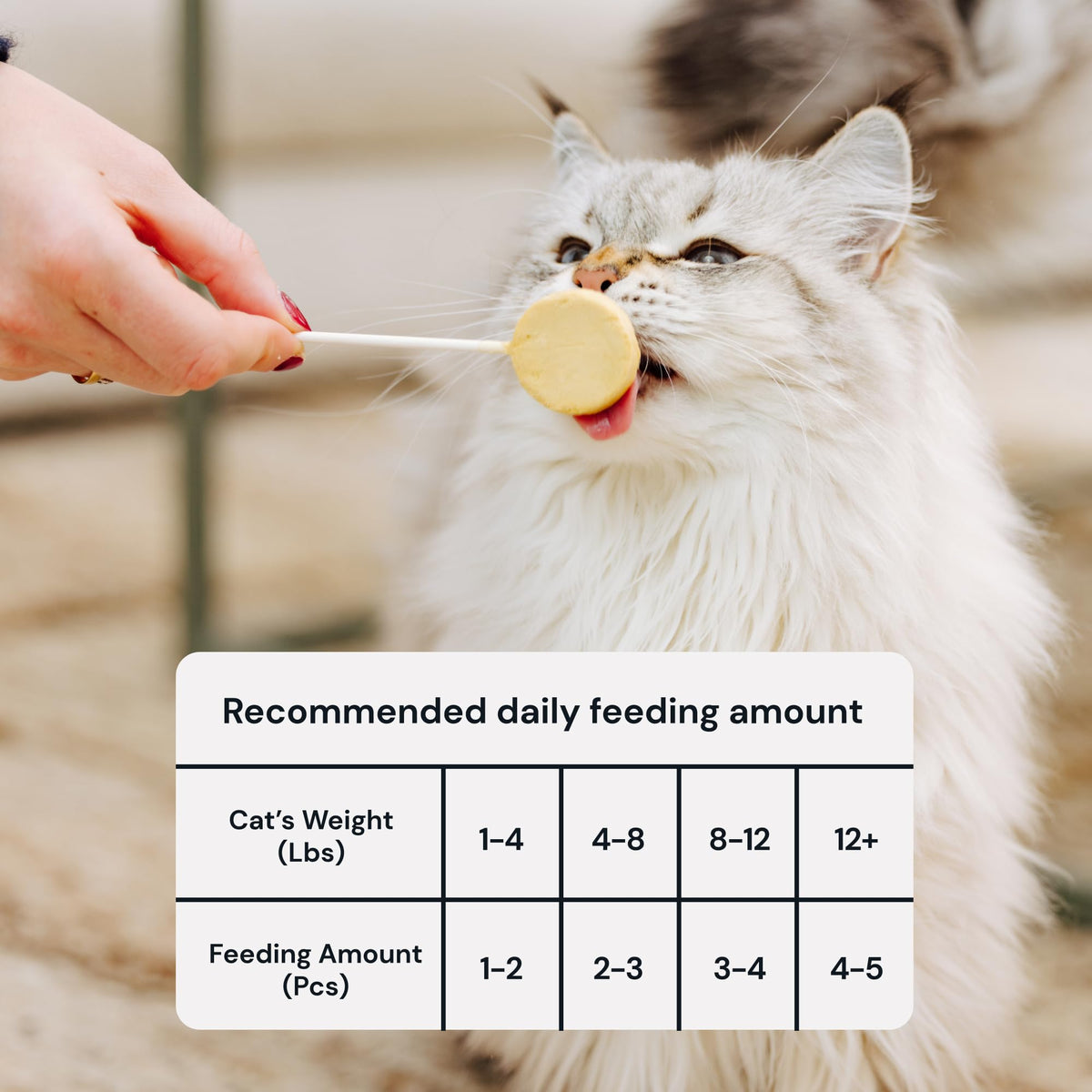 MalsiPree Cat Lollipop Treats - Interactive Cat Toy & Freeze Dried Cat Treats - Fun Suckers & Pops - Healthy Cat Birthday Treats, Cake Alternative & Snack - Food Toppers Chicken & Pumpkin, 18 Pack