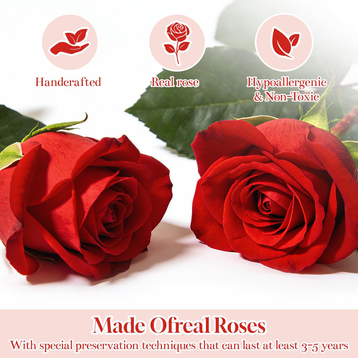 CuteWelt Preserved Roses,Forever Fresh Flowers 7.48in,Gift for Women,Mom,Grandma,Wife,Girlfriend,Sister,and Daughter Perfect for Birthday,Mother’s Day,Valentine’s Day (True Romance1)