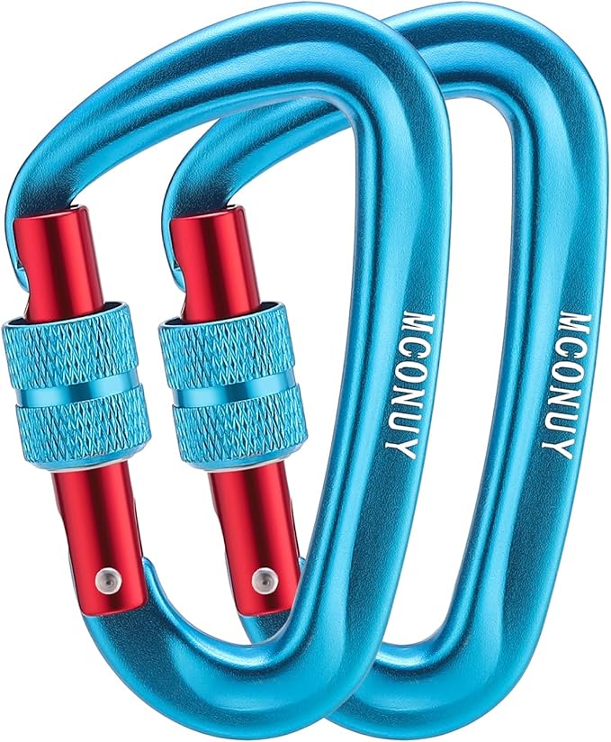 12kN Locking Carabiner Clips, Small Aluminium Carabiners Keychain, Heavy Duty Caribeaners for Camping, Hiking, Hammocks, Swings, Dog Leash, 2 Pcs