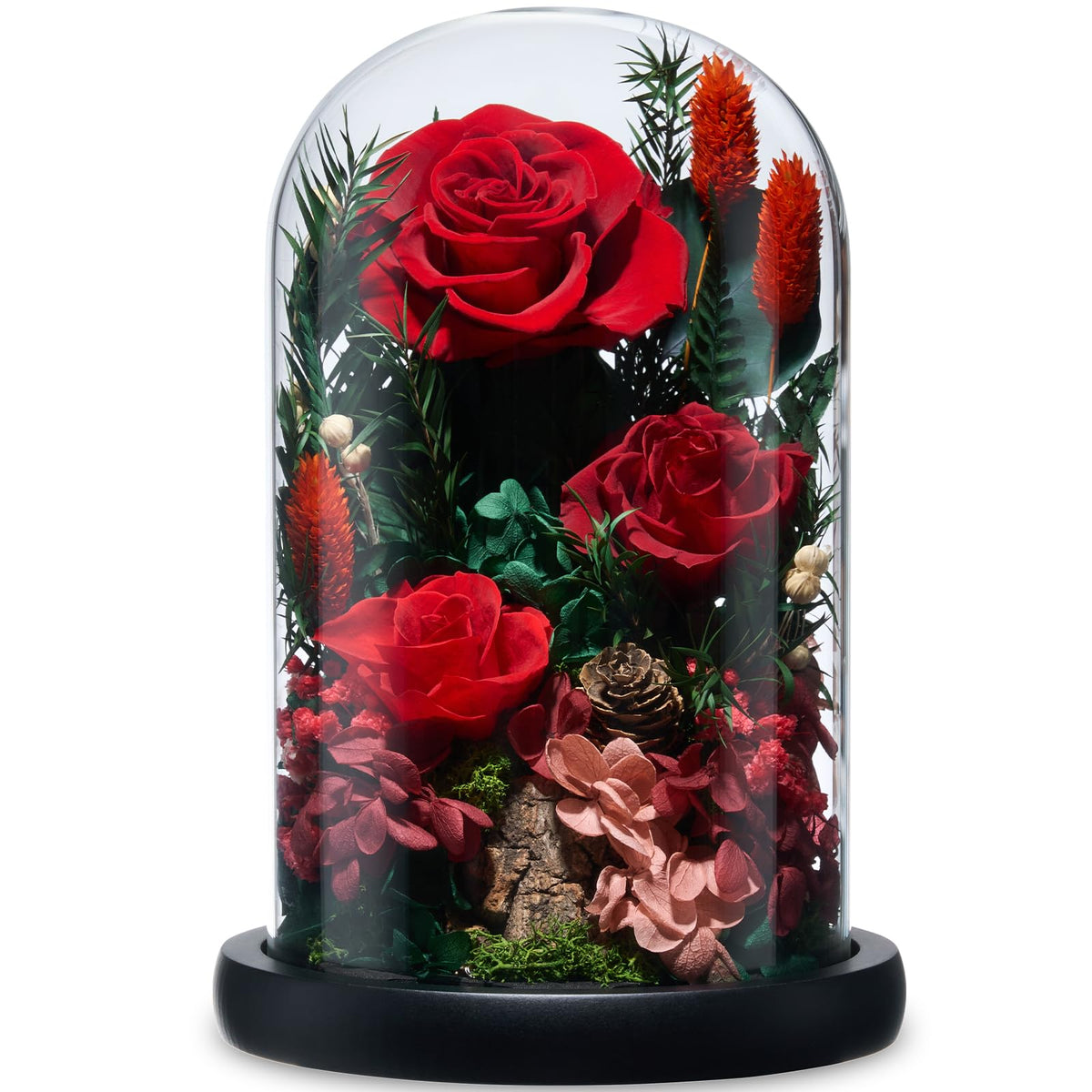 CuteWelt Preserved Roses,Forever Fresh Flowers 7.48in,Gift for Women,Mom,Grandma,Wife,Girlfriend,Sister,and Daughter Perfect for Birthday,Mother’s Day,Valentine’s Day (True Romance1)