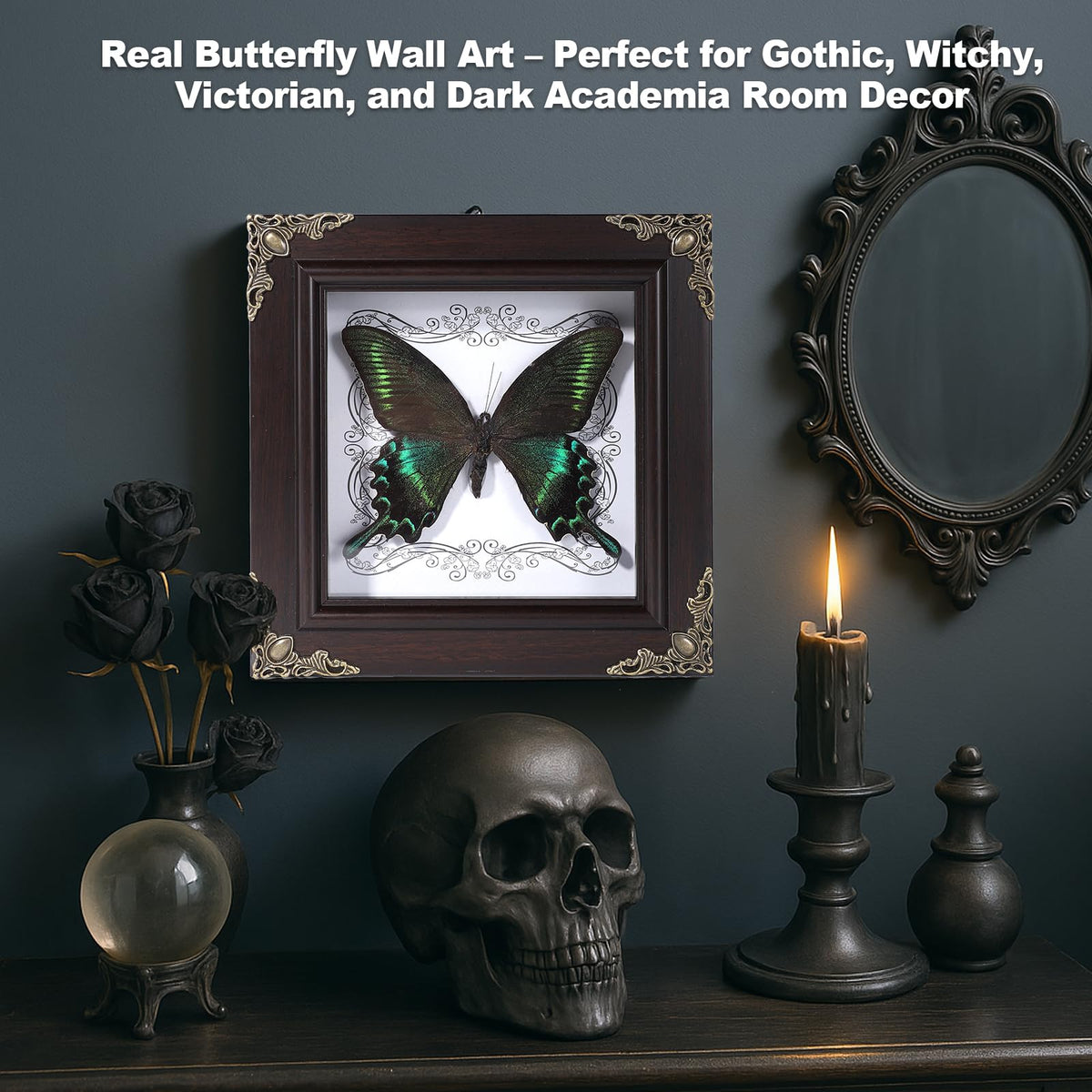 Real Butterfly Framed Home Decor,Taxidermy Shadow Box for Goth Dark Academia Wall Art Decor,Gothic Furniture Gifts for Victorian Whimsigoth Fantasy Moody Witchy Room Bedroom Decor