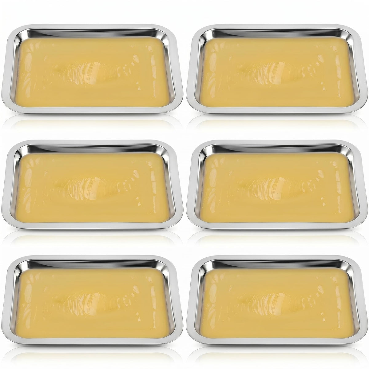 iplusmile 6 Set Dissection Pan with Wax, 10.2" x 7.5" Reusable Thicken Stainless Steels Dissection Kit for Laboratory Science Education & Medical Students Experiments