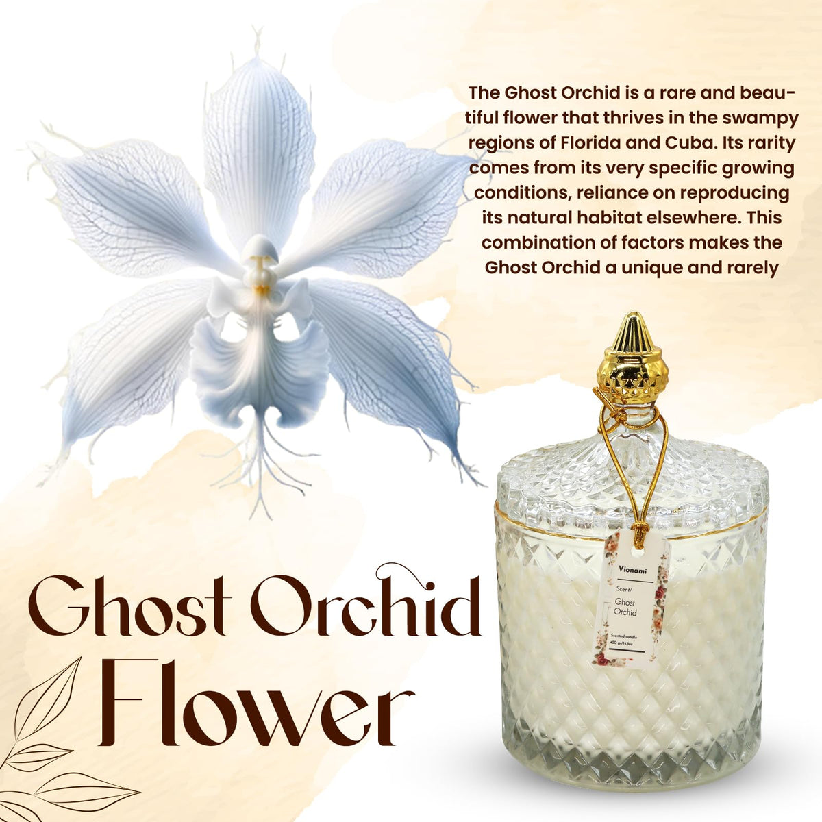 VIONAMI Luxury Scented Candle Gift – Ghost Orchid Rare Flower Fragrance in Elegant Glass Jar, Decorative Soy Candles Gifts for Women, Long-Lasting 80 Hr, 14.8 oz, Luxury Candles for Women