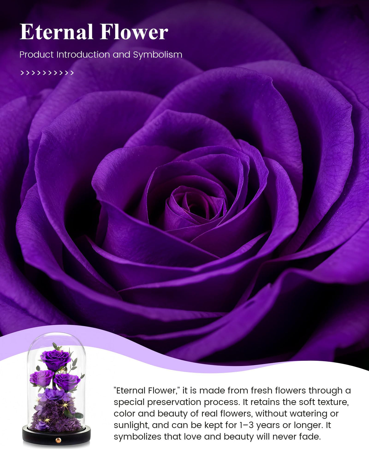 Agrul Mothers Day Flowers Roses Gifts for Mom,Forever Preserved Flower Rose in Glass Dome Fresh Flowers for Delivery Mothers Day Roses Gifts for Wife Women Mom Grandma from Daughter/Purple Rose