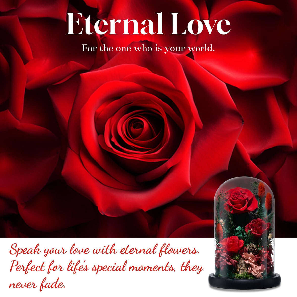 CuteWelt Preserved Roses,Forever Fresh Flowers 7.48in,Gift for Women,Mom,Grandma,Wife,Girlfriend,Sister,and Daughter Perfect for Birthday,Mother’s Day,Valentine’s Day (True Romance1)