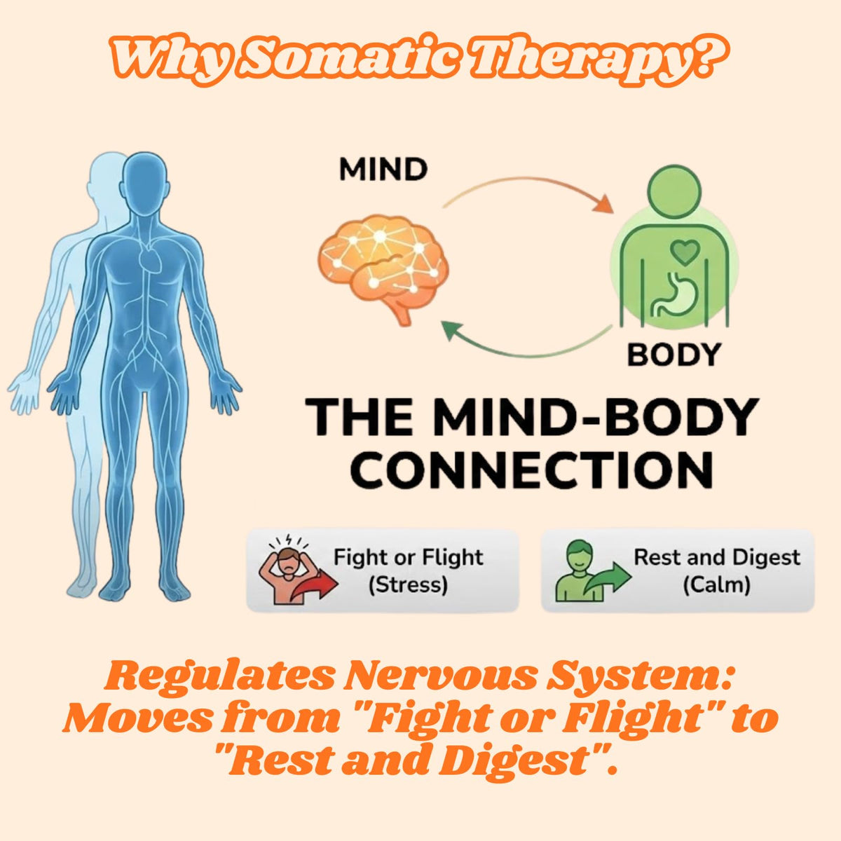 Somatic Therapy Cards for Kids, 52 Mindfulness & Emotional Regulation Activities for Calm, Focus, Coping Skills - Social Emotional Learning Tools for Parents, Therapists, Ages 6–12, Calm Down Corner