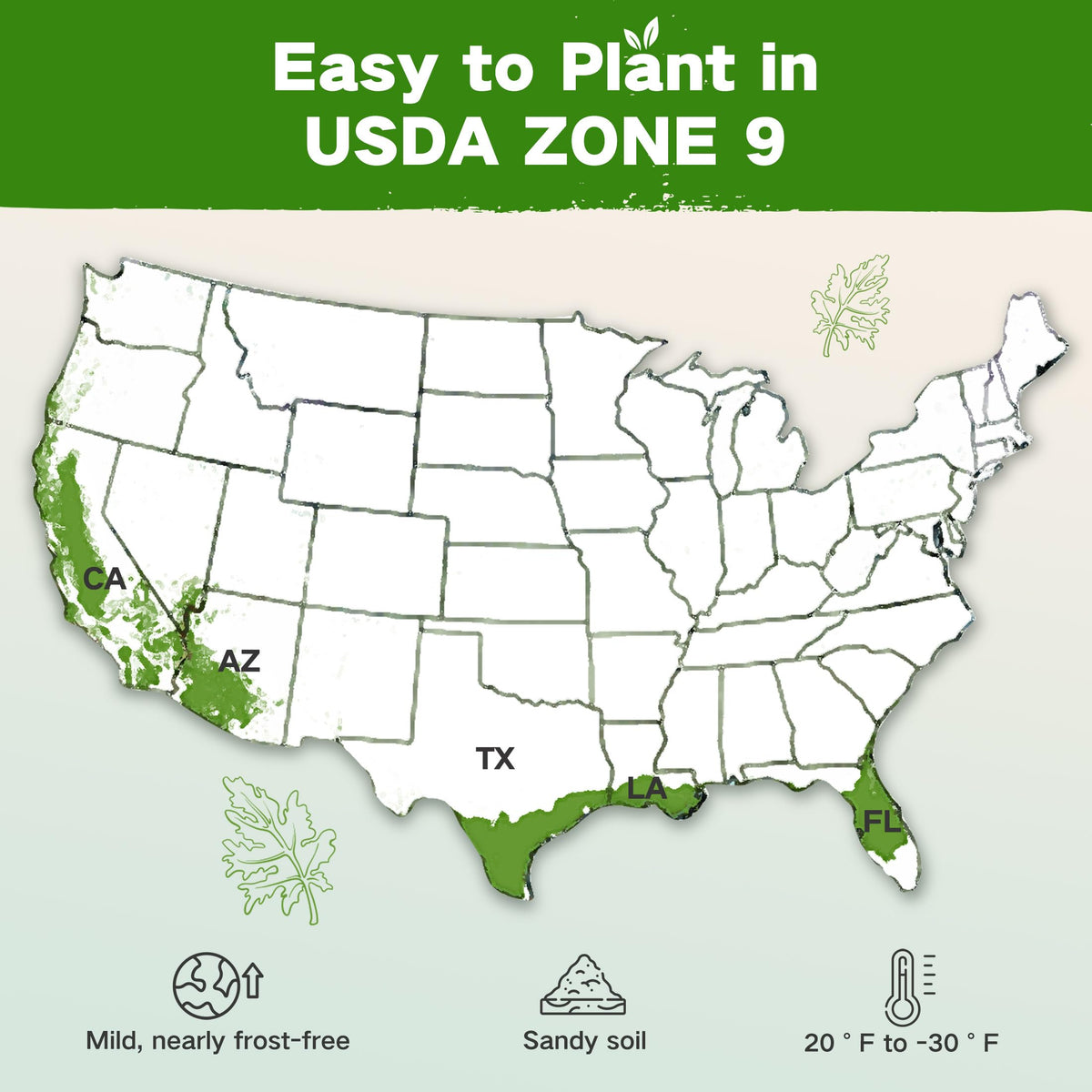 Lush&Dew Year-Round USDA Zone 9 Seed Bank, Gardening Gifts for Women Men, 32 Varieties Non-GMO Heirloom Seeds of Vegetables Herbs Fruits, Gift for Mom Dad, Survival Seed Kit for Raised Garden Beds