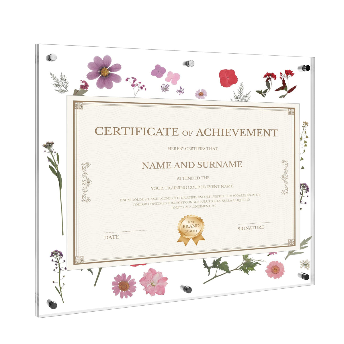 Aneco Graduation Diploma Frame 16x20 Inches Self Adhesive Acrylic Certificate Frame with Dried Pressed Flowers No Drill Clear Wall Photo Frames for Degree Poster Poster Artworks DIY Craft