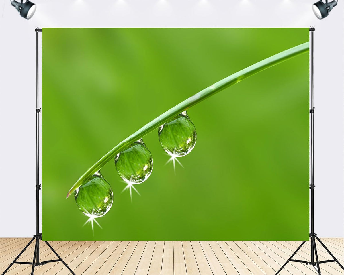 TryKid 10x10ft Green Dewdrop Grass Backdrop Sparkling Water Drop Blade Photography Background Fresh Spring Nature Event