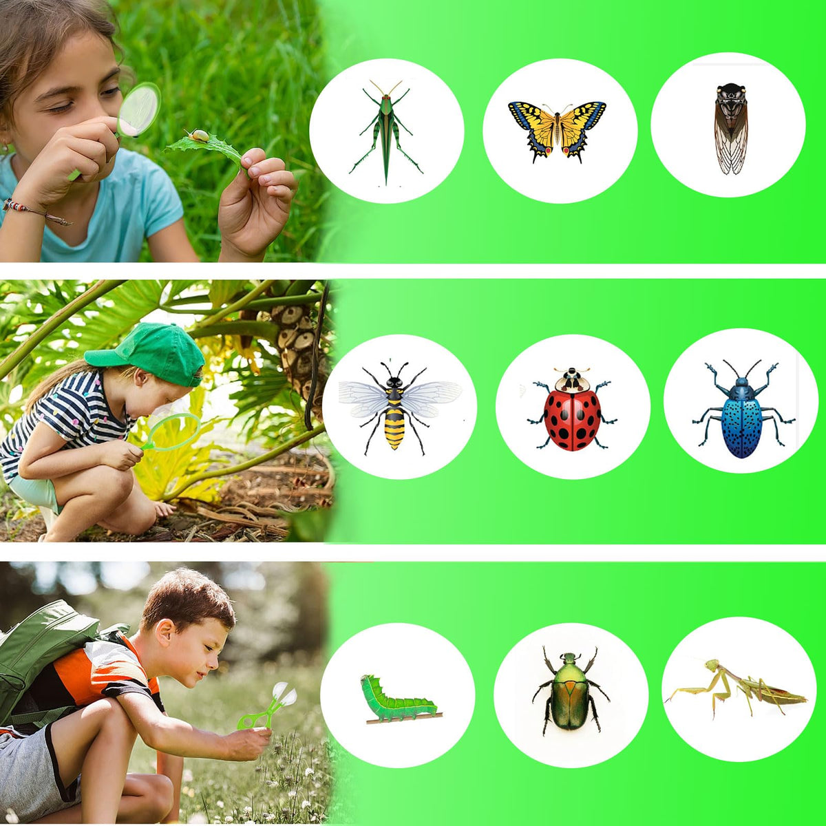GIFTRRTOY Bug Catcher for Kids - Outdoor Insect Catching Kit with Butterfly Net, Bug Box, and Storage Bag - Non-Toxic Educational Toys for Nature Exploration, for Boys & Girls Ages 3-12
