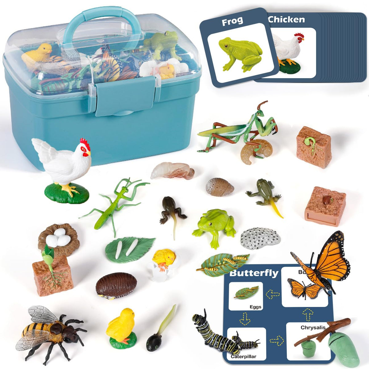 Life Cycle Learning Toys for Kids: Life Science Education Kits with Butterfly, Frog, Chicken, Mantis, Bee, Plants - 25 Pieces Animal Figurines Montessori Toys for Children Age 3 4 5 6 7 8+