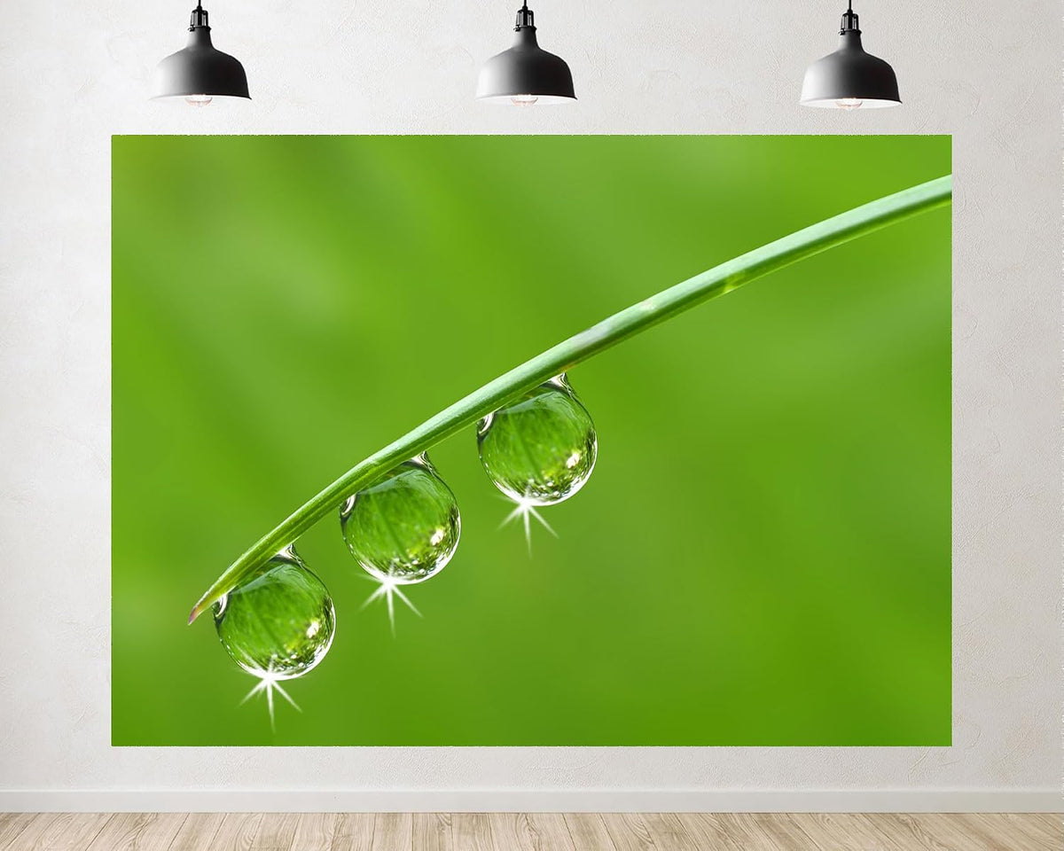 TryKid 10x10ft Green Dewdrop Grass Backdrop Sparkling Water Drop Blade Photography Background Fresh Spring Nature Event