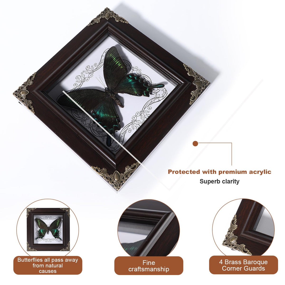 Real Butterfly Framed Home Decor,Taxidermy Shadow Box for Goth Dark Academia Wall Art Decor,Gothic Furniture Gifts for Victorian Whimsigoth Fantasy Moody Witchy Room Bedroom Decor