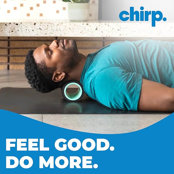 Chirp Wheel Foam Roller ??Targeted Back & Neck Relief, Lumbar Spine Stretcher, Spinal Decompression Back Stretcher, Massage Roller with Density Foam for Physical Therapy, Supports 500lbs, 4-Inch Mint
