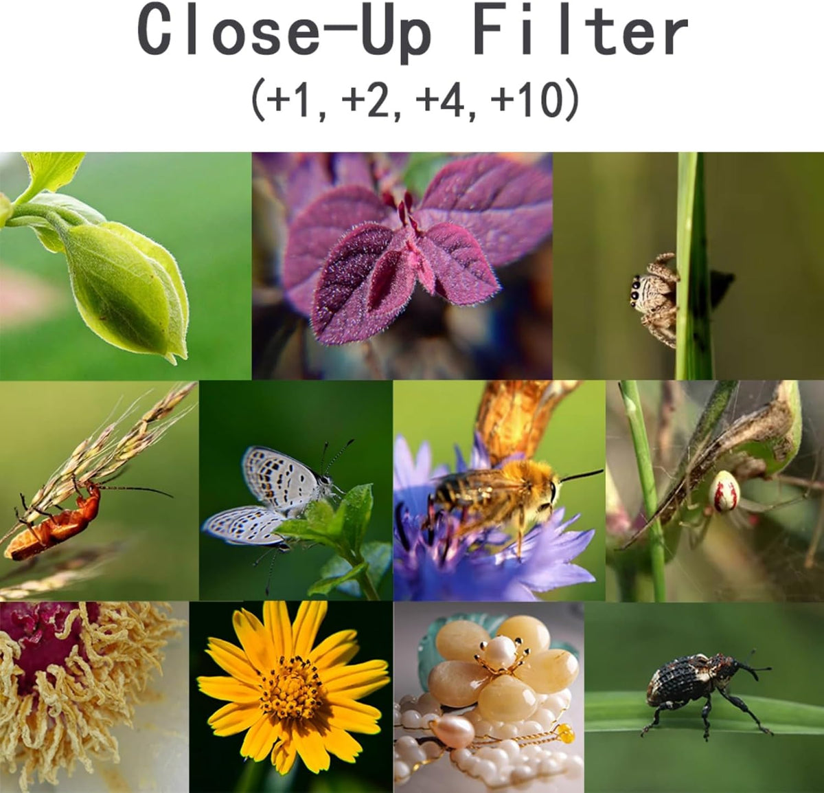 YOFOTIXAUU 58mm 4 (+1 +2 +4 +10) Set, (58mm) Close-Up Lens Filters Kit Pieces Macro Filter Lens Cap & Cleaning Cloth