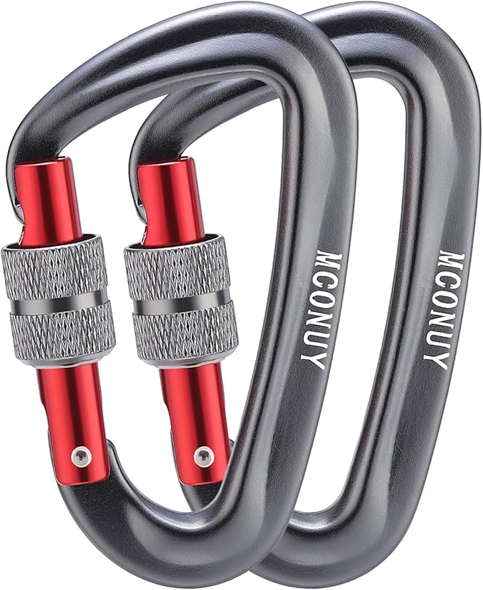 12kN Locking Carabiner Clips, Small Aluminium Carabiners Keychain, Heavy Duty Caribeaners for Camping, Hiking, Hammocks, Swings, Dog Leash, 2 Pcs