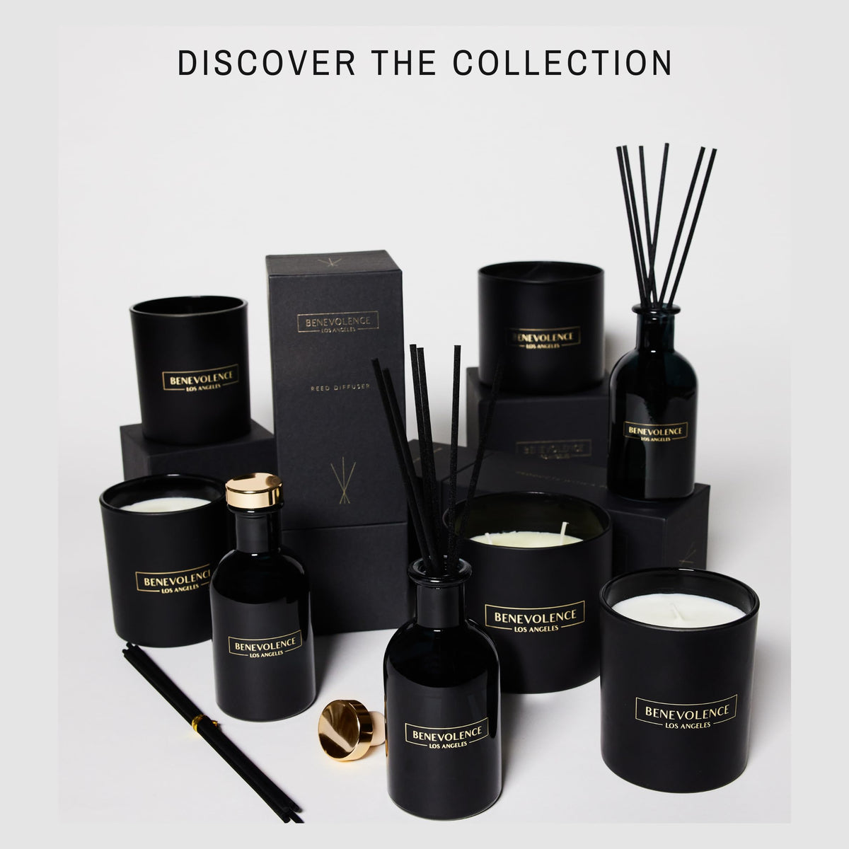 Benevolence LA Reed Diffusers for Home, Lavender & Eucalyptus Relaxing Fragrance | Aromatherapy Reed Diffuser Sticks with Gift Box, Scented Sticks for Bathroom | Home Décor