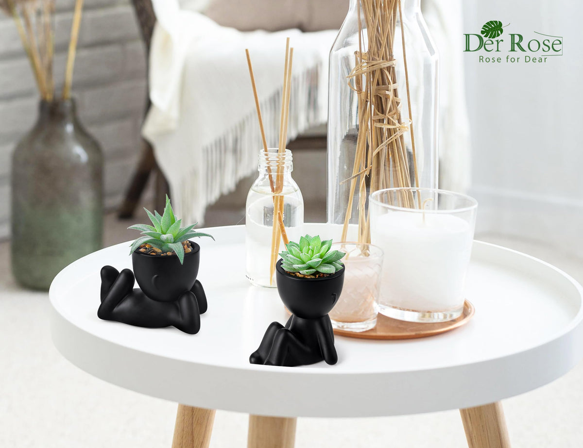 Der Rose 2 Pack Fake Plants Succulent Plants Artificial for Home Bathroom Living Room Office Decor