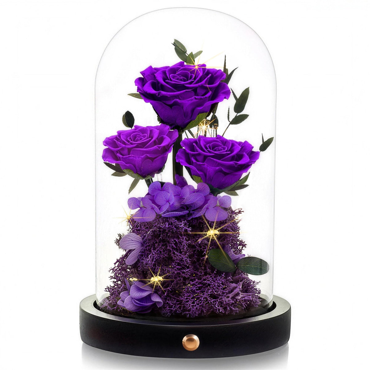 Agrul Mothers Day Flowers Roses Gifts for Mom,Forever Preserved Flower Rose in Glass Dome Fresh Flowers for Delivery Mothers Day Roses Gifts for Wife Women Mom Grandma from Daughter/Purple Rose