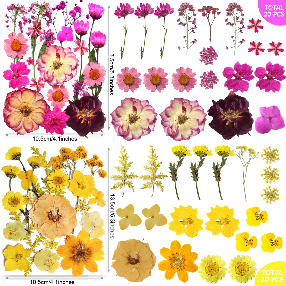 TrendCart 301Pcs Multi-Style Dried Pressed Flowers & Leaves (10 Packs) - Pressed Flower for Crafts, Resin, Nail Art, Candle, Soap, Scrapbooking & Frame Decor