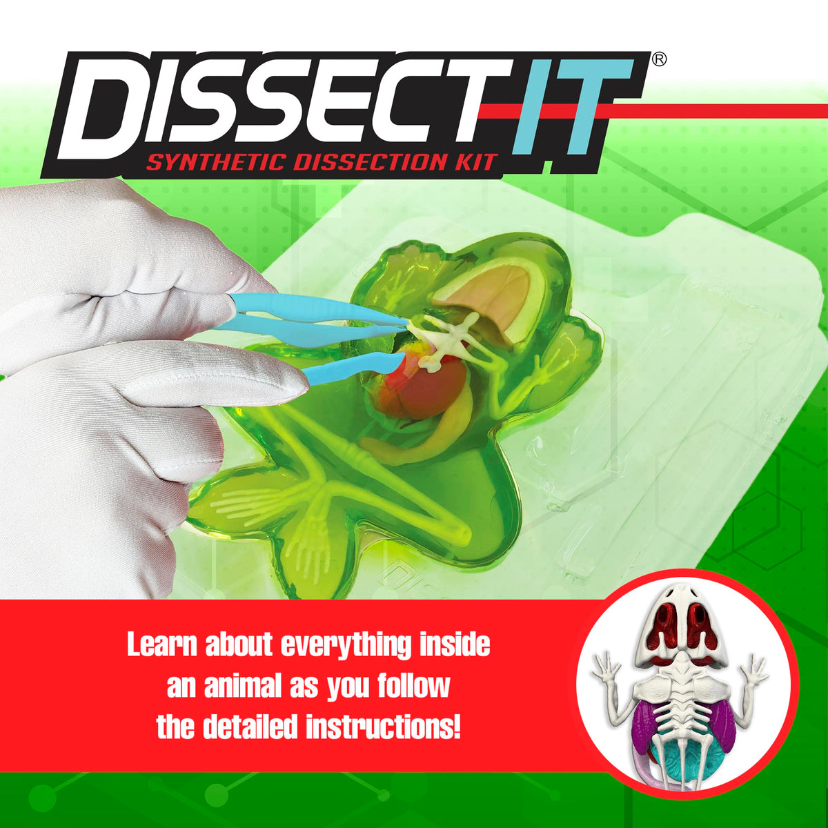 Top Secret Toys Dissect It Kit for Kids, Synthetic Dissection Kids Science Kit to Learn Animal Anatomy, Biology, STEM Frog Toys, Ages 6 and Above