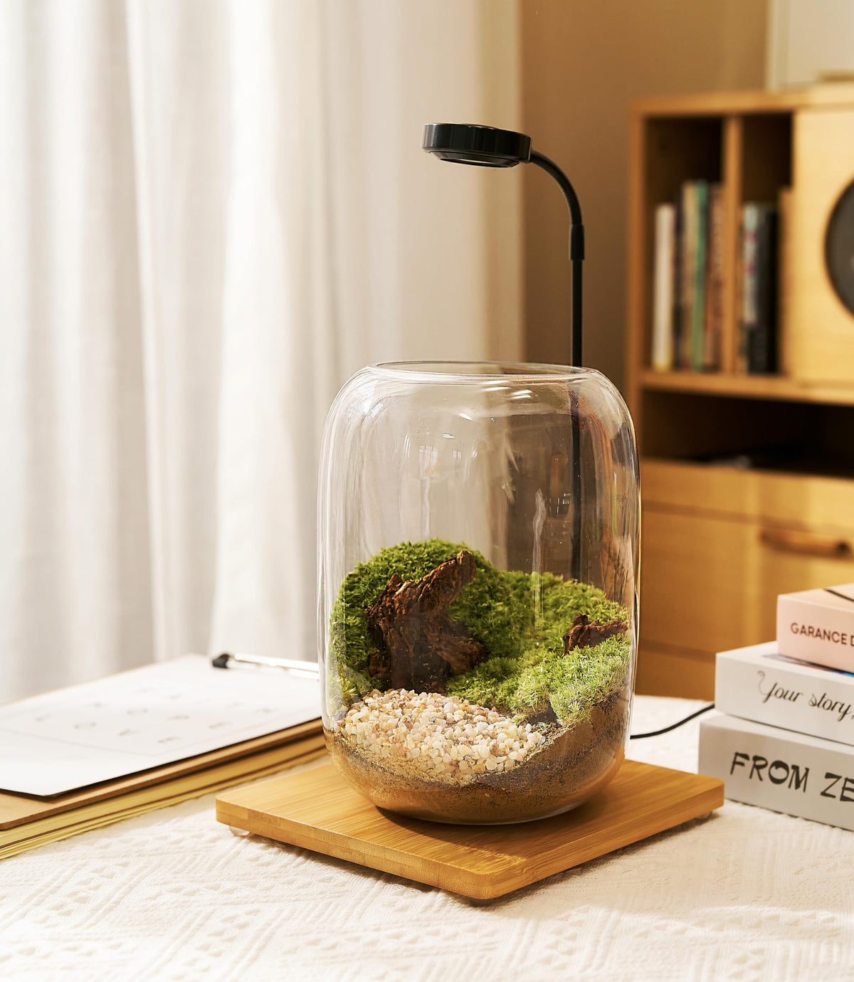 Terrarium Kit with Grow Light – 24-Piece DIY Glass Terrarium Set with Tools, Moss, Driftwood, Soil & Pebbles – Mini Gardening Kit for Air Plants, Succulents & Indoor Desk Decoration Gift